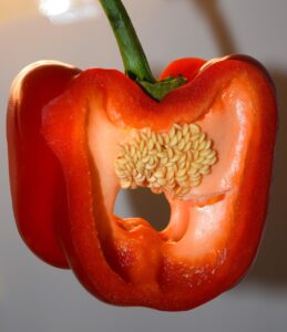 汗を抑えるインナーの仕組みは男性にどのように効果があるのか？