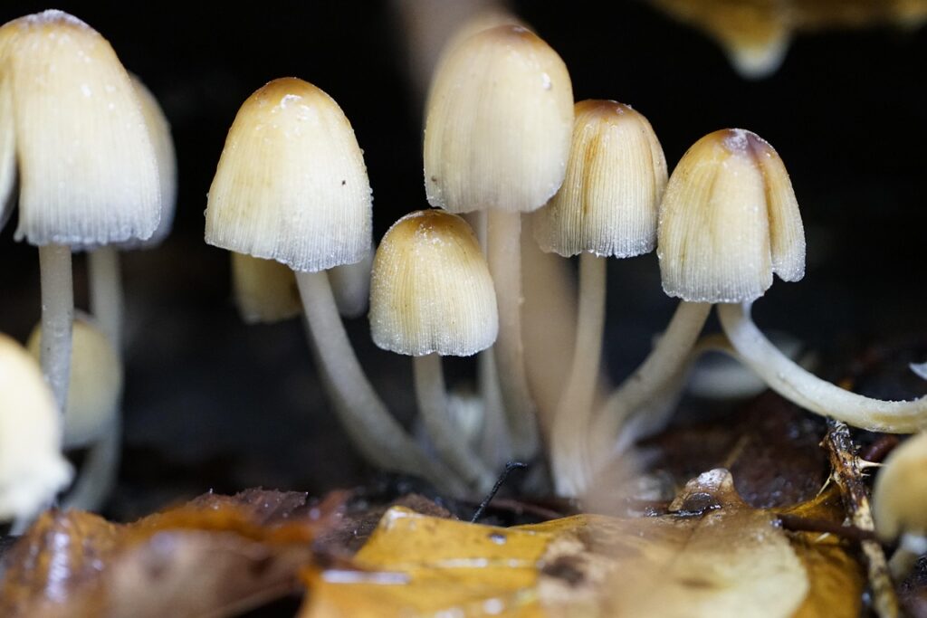 縫い目のチクチクを男性がインナーで回避する方法は？