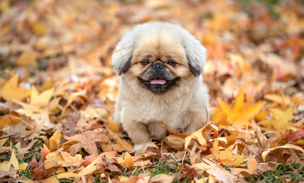 インナーの買い替え時期とおすすめポイントは？