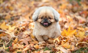 インナーの買い替え時期とおすすめポイントは？