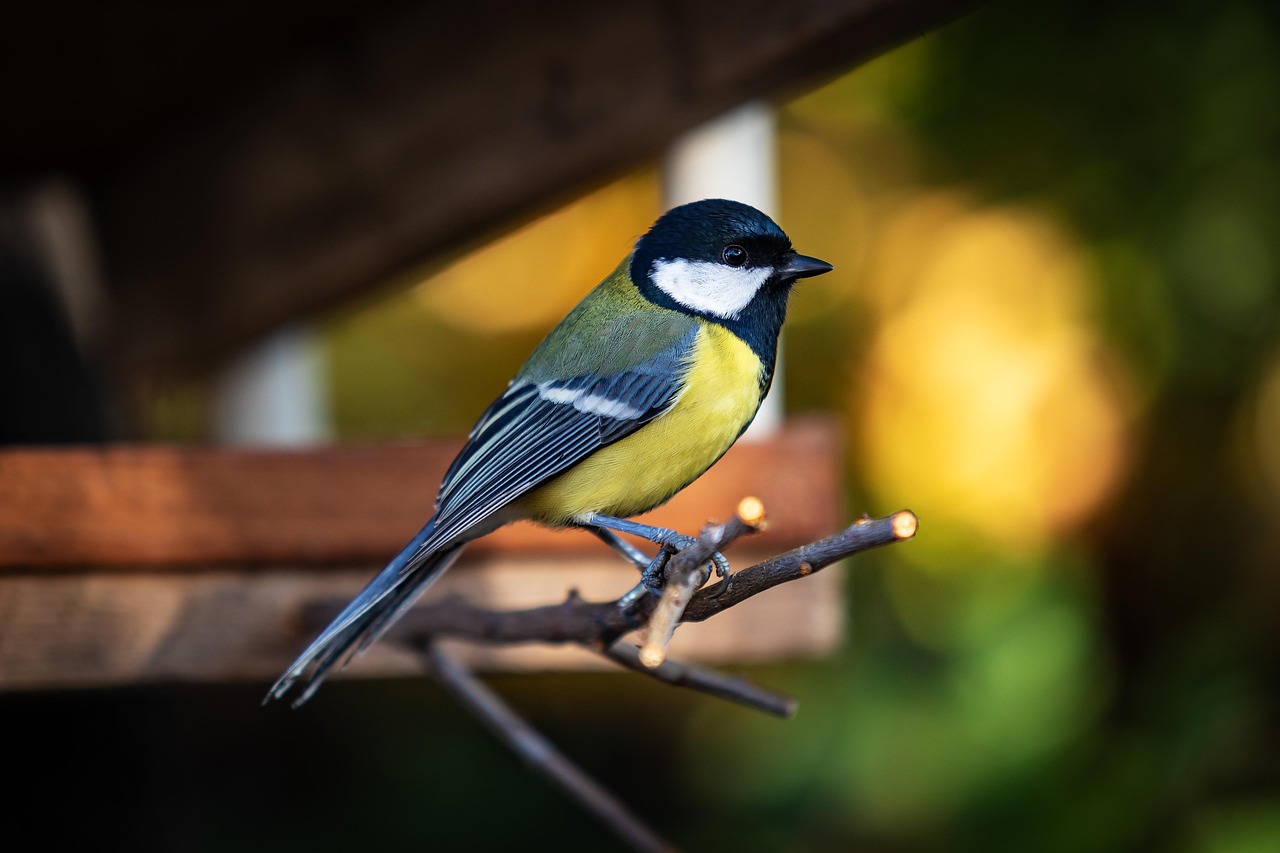 乳首透け防止の男性インナーはどれが最適？