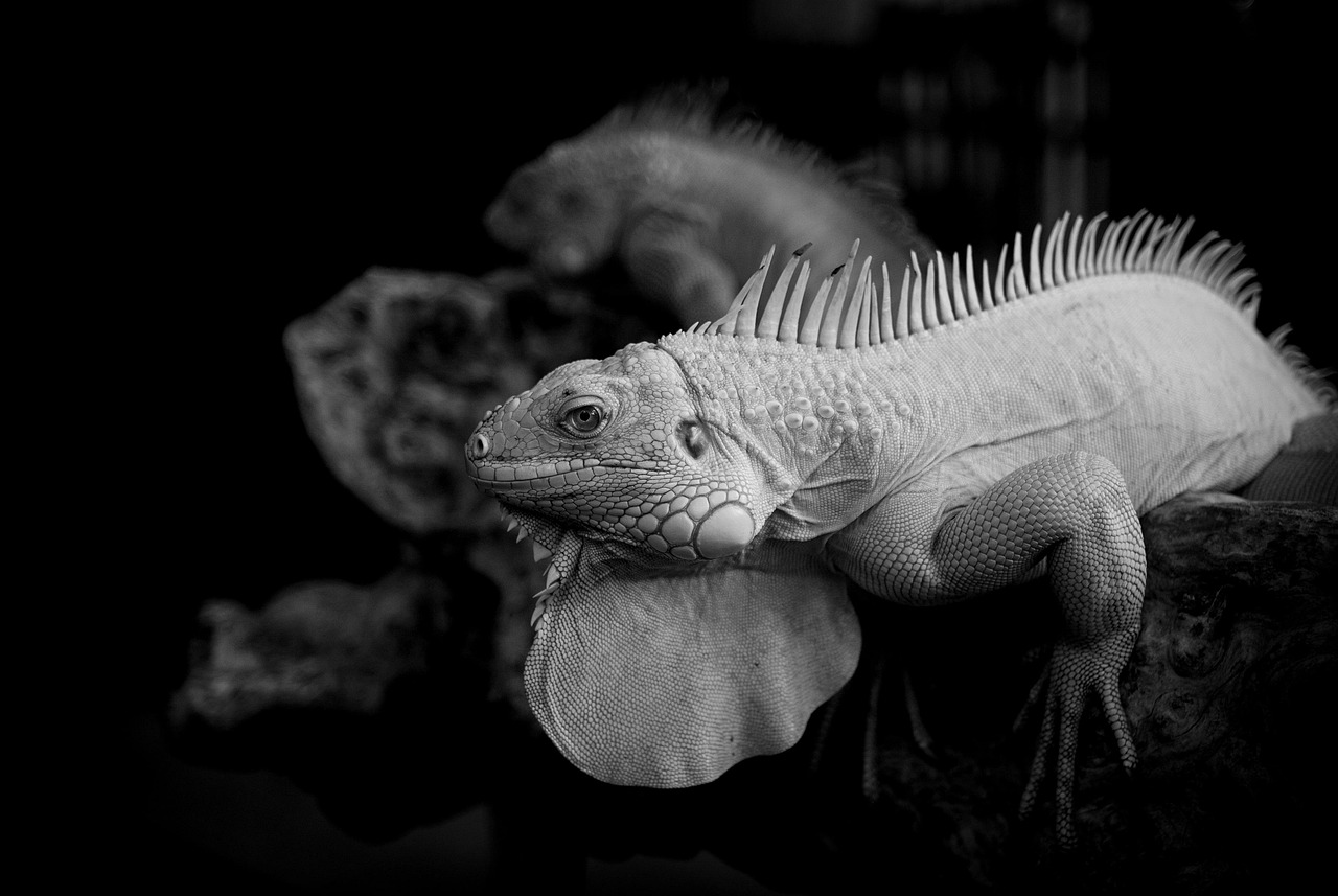 コンプレッションインナーが仕事の疲労軽減にどのように役立つのか？