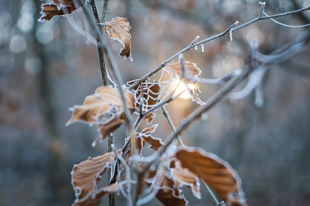 乾燥肌対策に最適なインナーはメンズ向け冬アイテムで決まり？