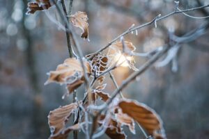 乾燥肌対策に最適なインナーはメンズ向け冬アイテムで決まり？