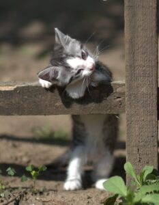 仕事で必要なインナーは何枚が理想ですか？