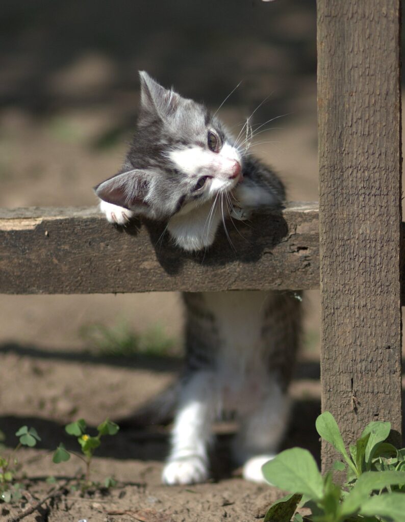 仕事で必要なインナーは何枚が理想ですか？