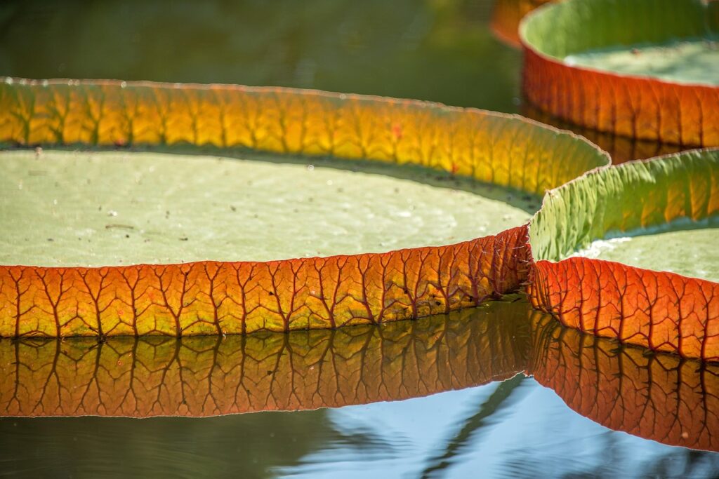 汗取りパッド付きインナーでメンズにおすすめの商品は？