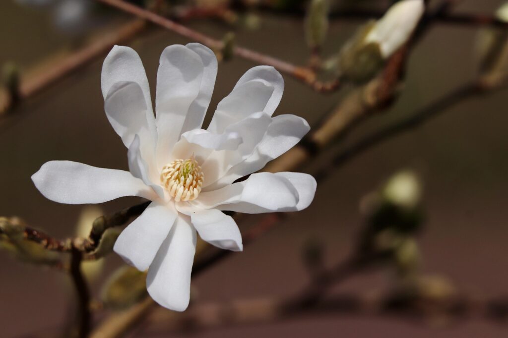 秋冬用インナーのメンズ比較で選ぶべき最適なアイテムは？