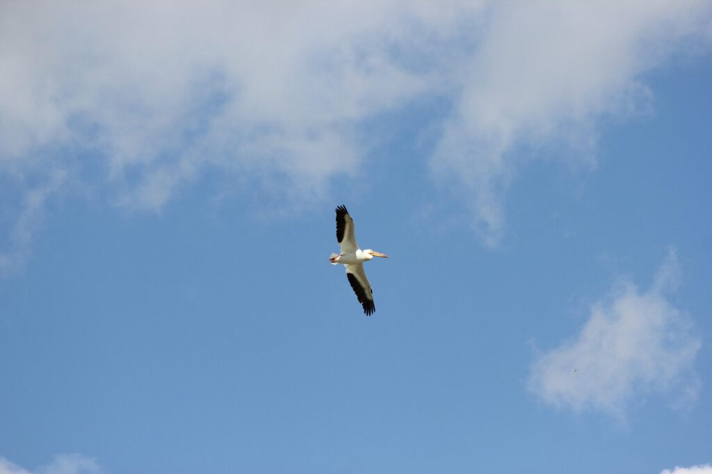 汗がすぐ乾くインナーはメンズに最適？