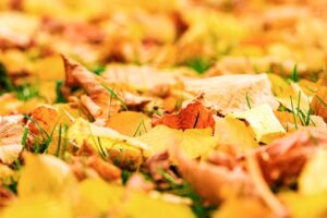 インナーは季節ごとにどう選ぶ？おすすめアイテムを徹底解説！