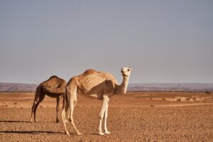 インナーでの暑さ対策方法はこれで決まり？